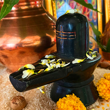 narayan nagbali puja